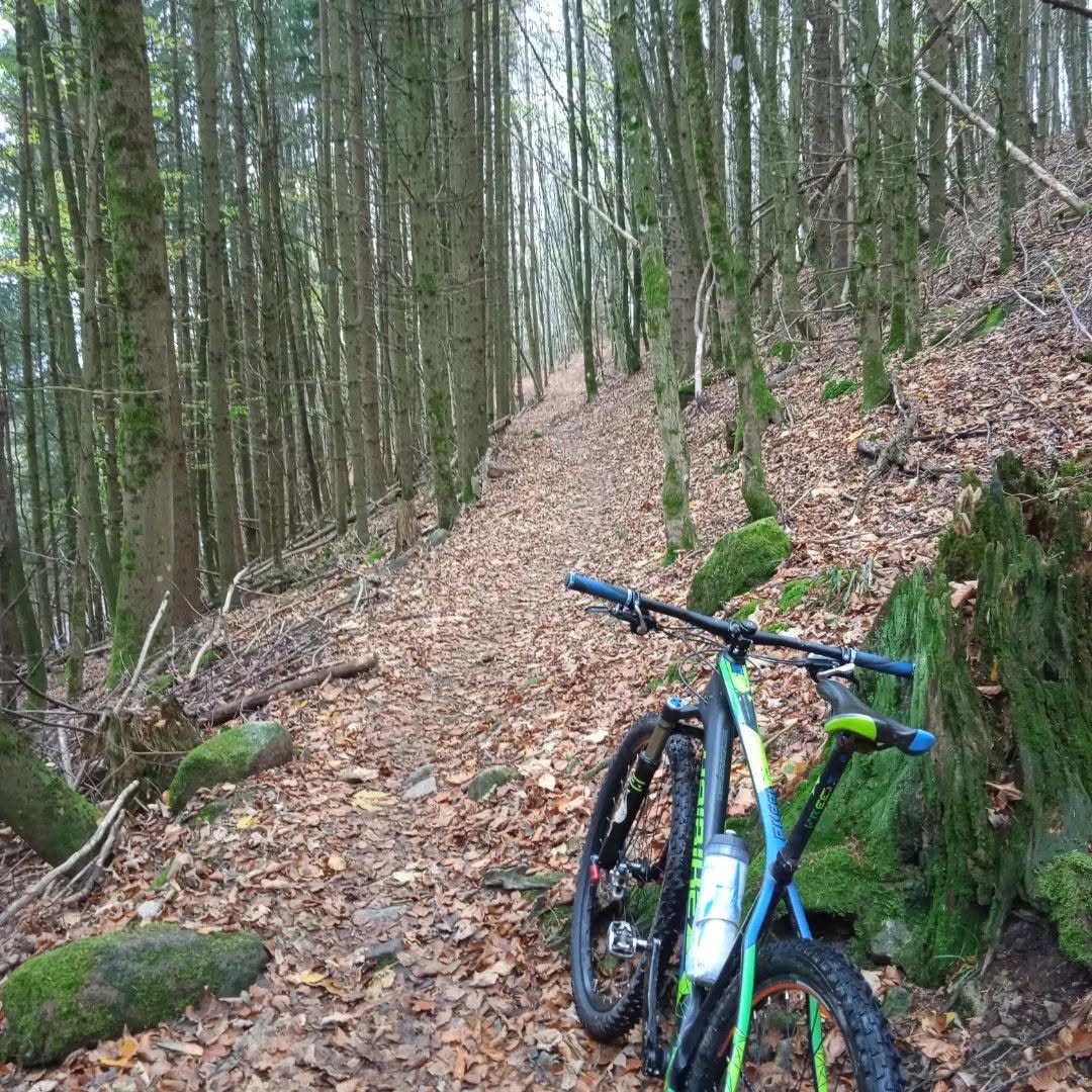 Aurélien Bassompierre - Encadrement VTT